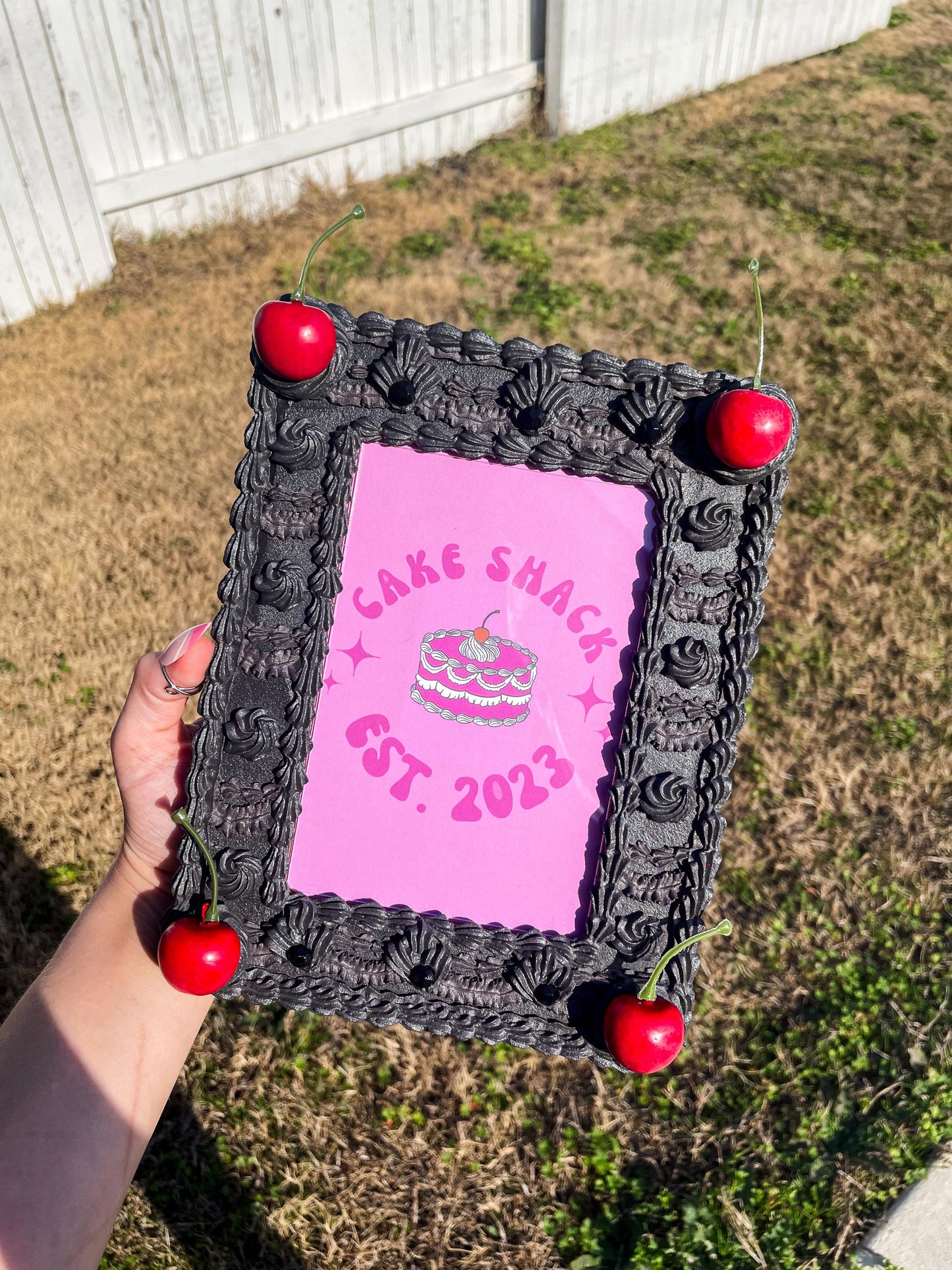 Fake Cake Picture Frames 4x6