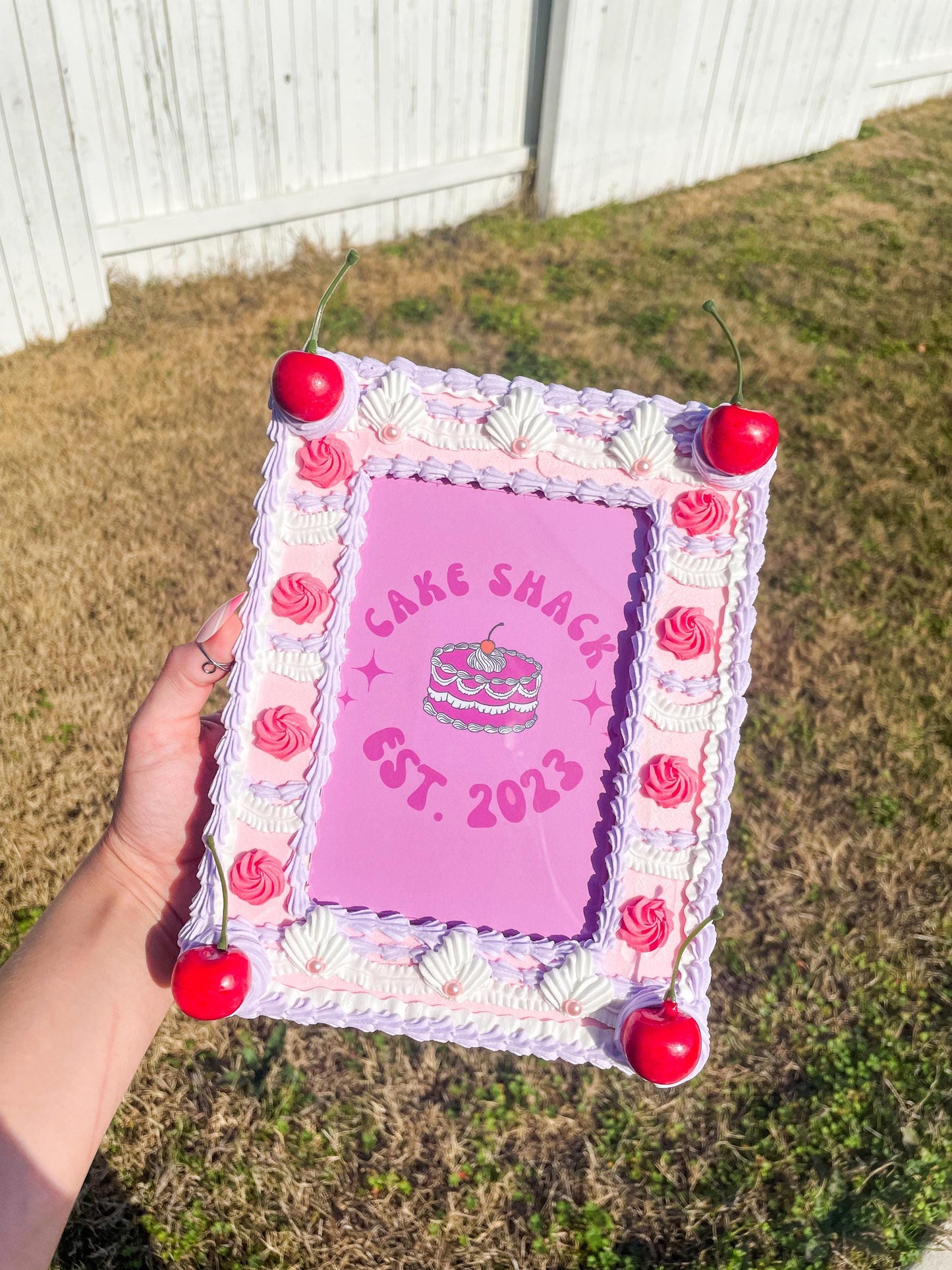 Fake Cake Picture Frames 4x6