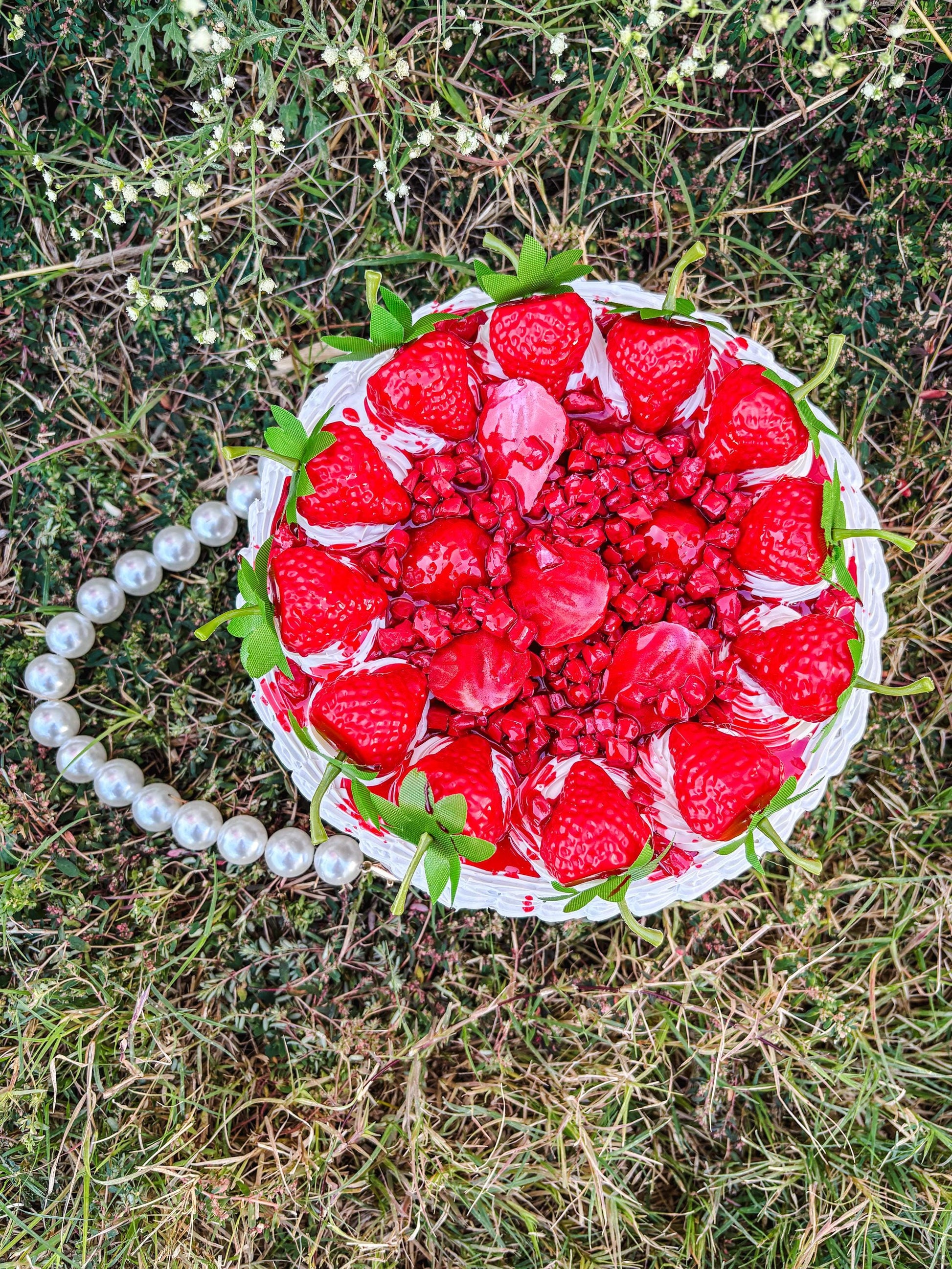 Strawberry Shortcake Purse