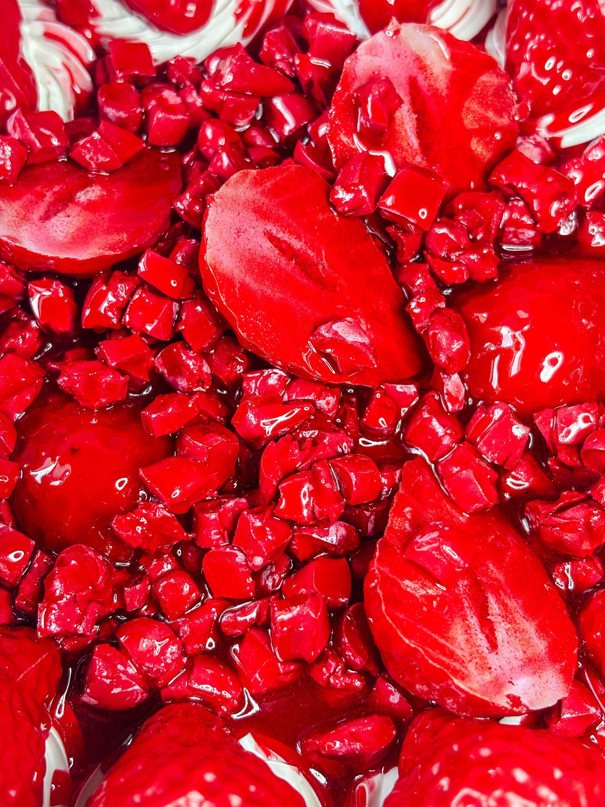 Strawberry Shortcake Purse