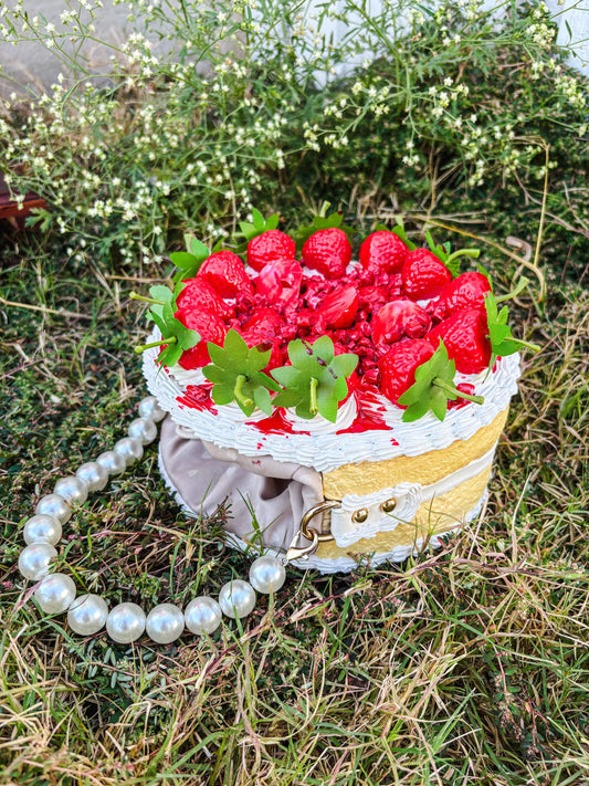 Strawberry Shortcake Purse