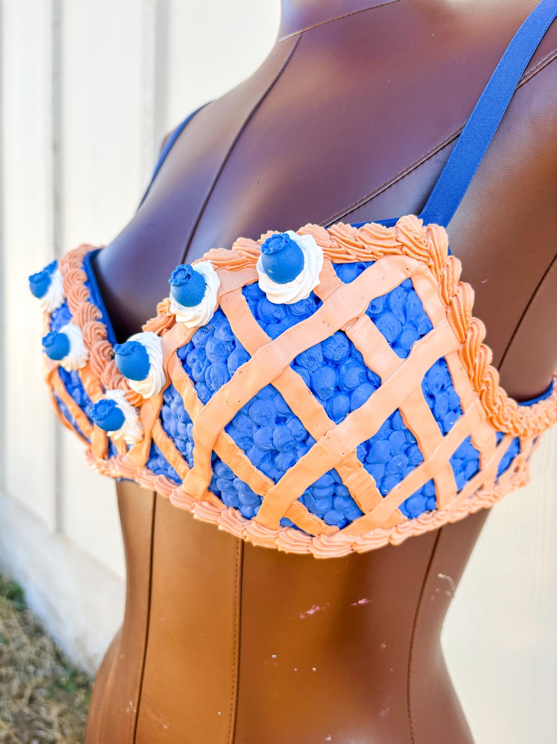 Cherry Pie Pin-Up Costume - Cherry Pie Bra and Corset Top & Red Gingham Skirt