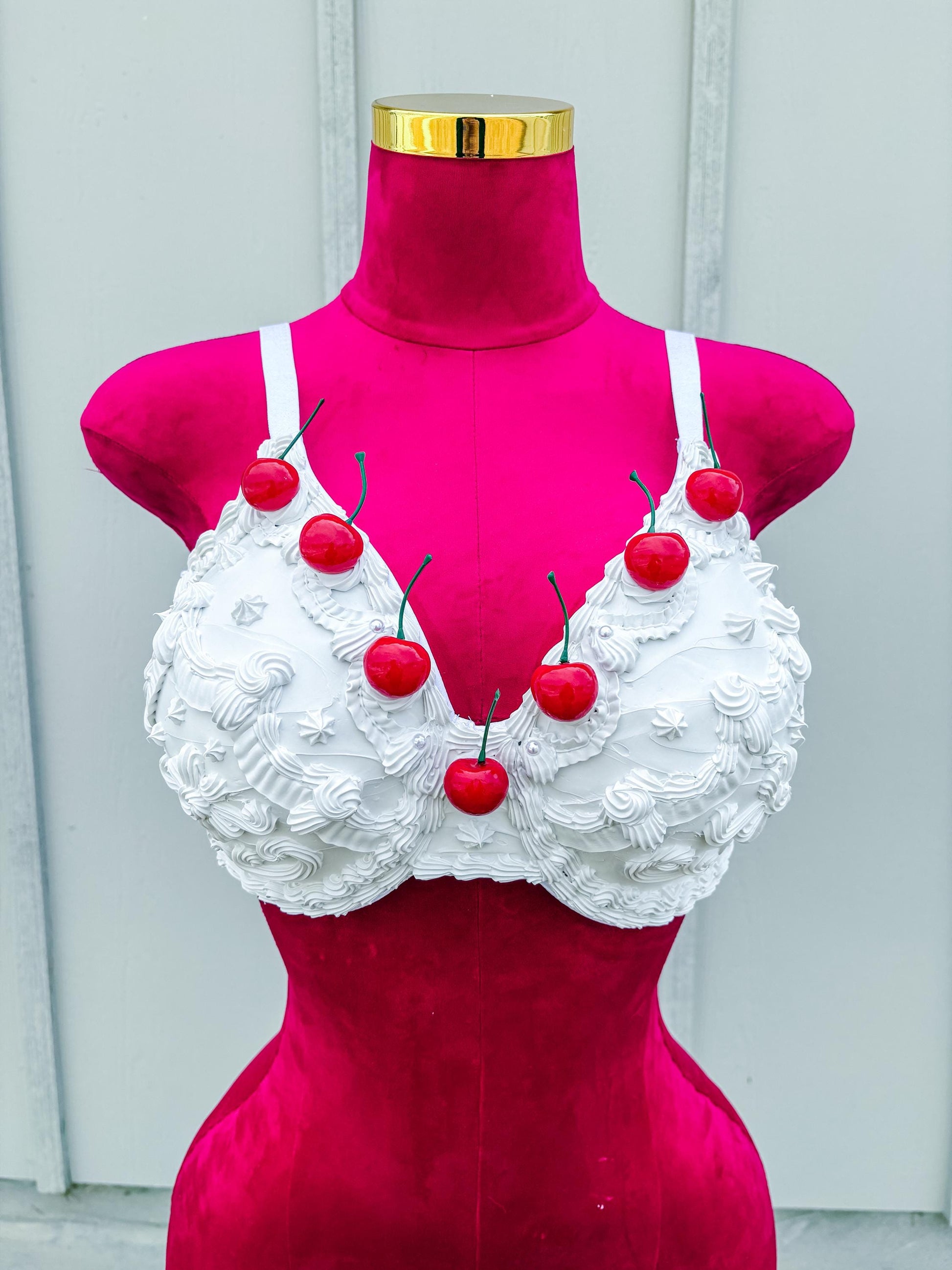 Customizable Dessert Bras - Cake Bra, Blueberry Pie Bra, Cherry Pie Bra, Ice Cream Cone Bra, Cupcake Bra