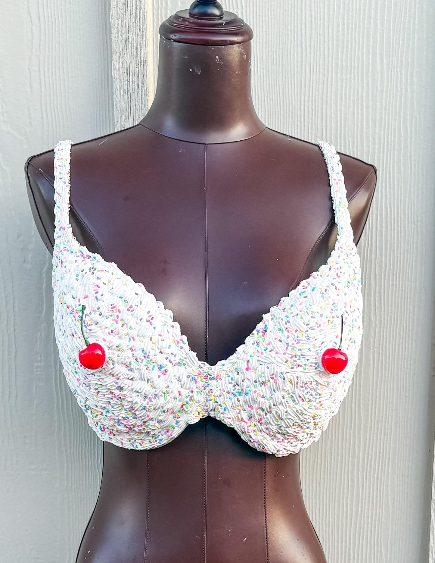 Customizable Dessert Bras - Cake Bra, Blueberry Pie Bra, Cherry Pie Bra, Ice Cream Cone Bra, Cupcake Bra