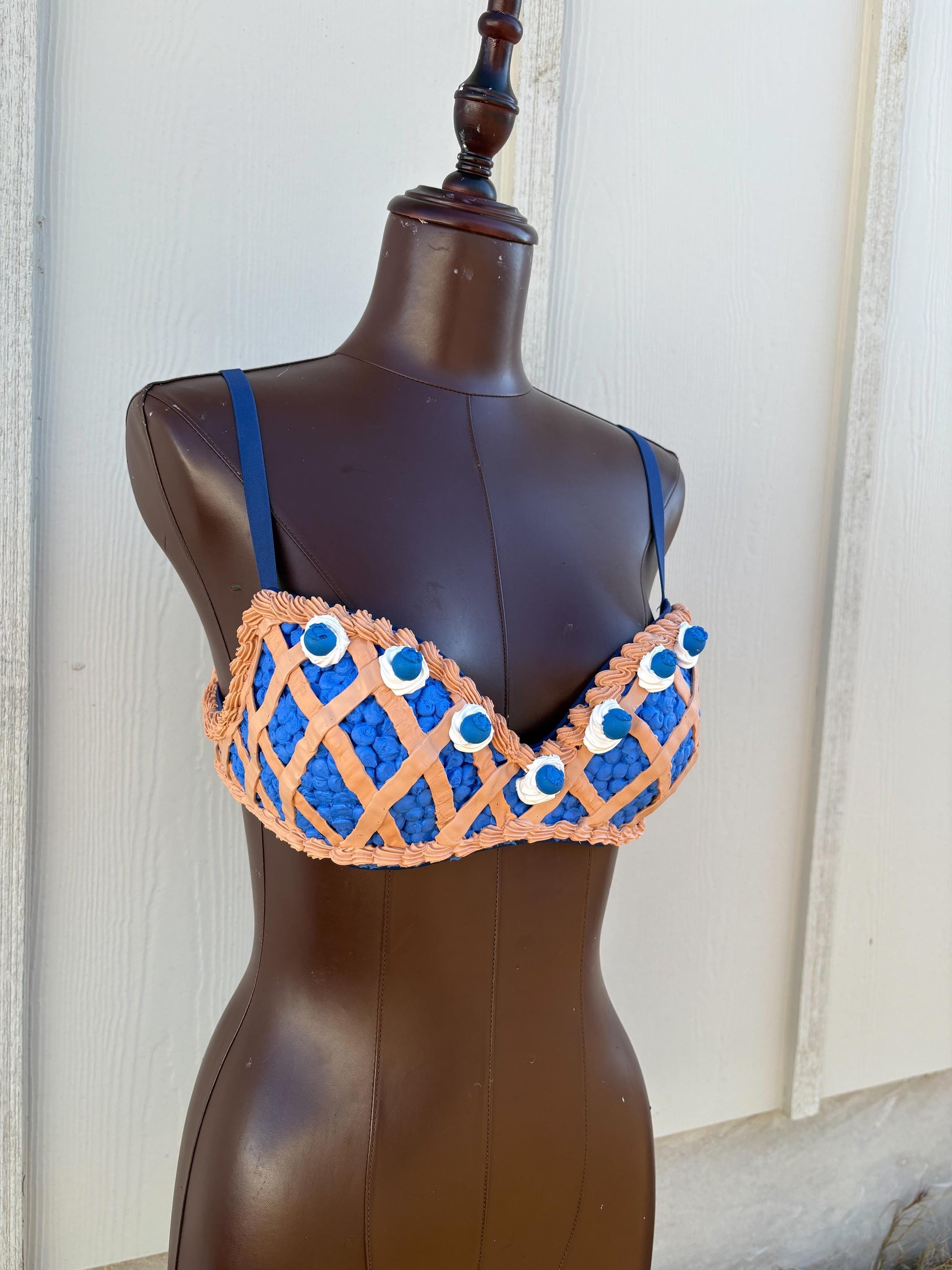 Cherry Pie Pin-Up Costume - Cherry Pie Bra and Corset Top & Red Gingham Skirt