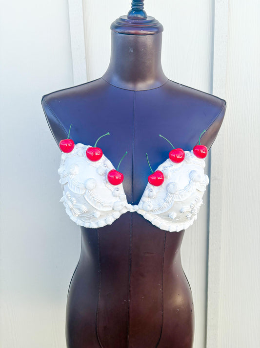 Customizable Dessert Bras - Cake Bra, Candy Bra, Blueberry Pie Bra, Cherry Pie Bra, Ice Cream Cone Bra