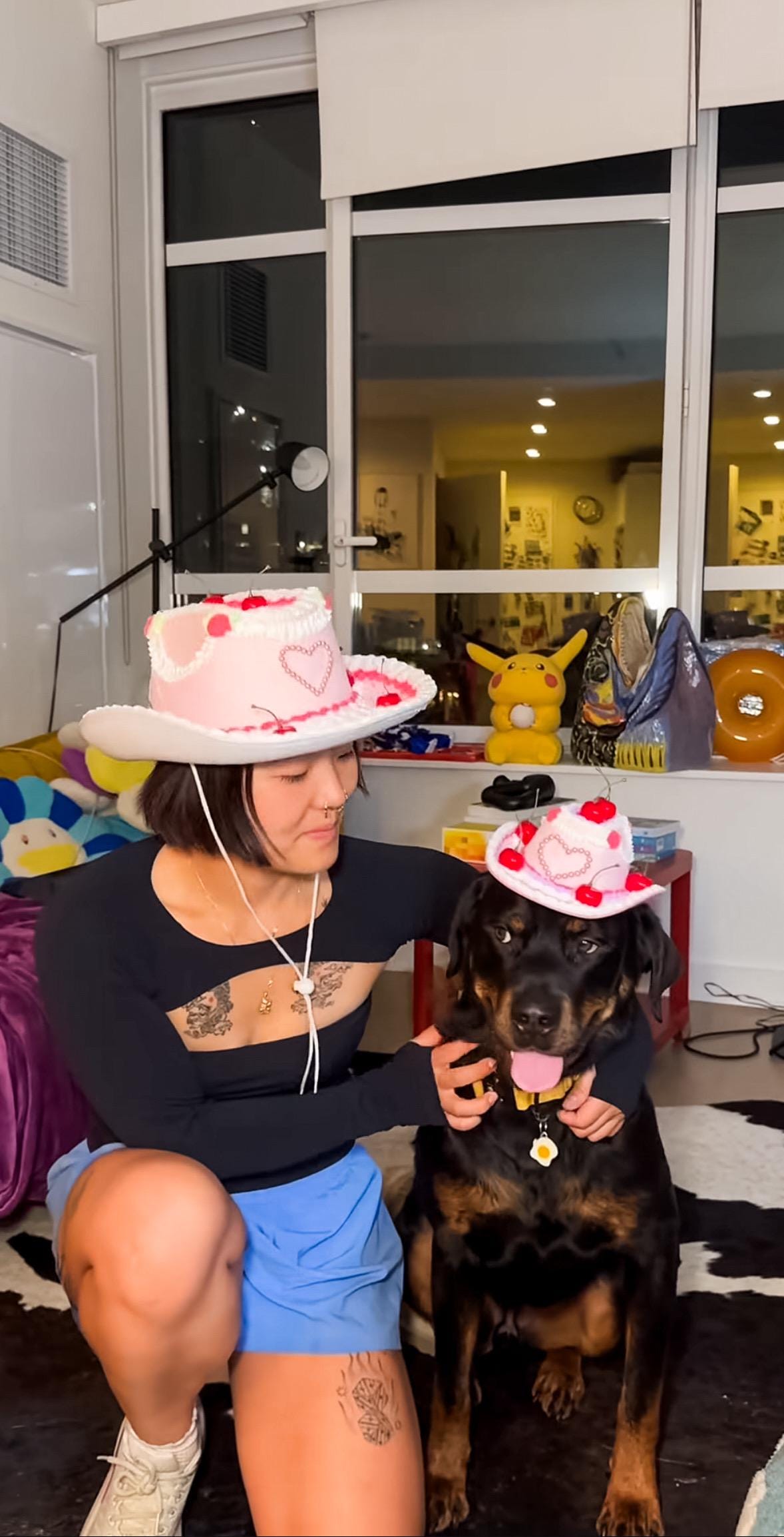 Cake Cowboy Hat for Pets | Fake Cake Pet Hat | Cherry Lambeth Style Dog & Cat Hat | Birthday Pet Costume | Cute Pet Photoshoot Accessory