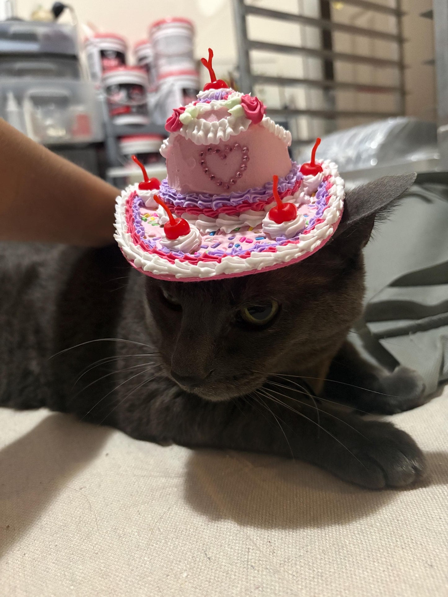 Cake Cowboy Hat for Pets | Fake Cake Pet Hat | Cherry Lambeth Style Dog & Cat Hat | Birthday Pet Costume | Cute Pet Photoshoot Accessory