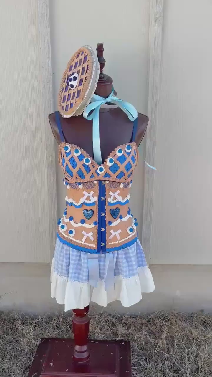 Cherry and Blueberry Pie Pin-Up Costumes -  Pie Bra and Wait Corset  &  Gingham Skirt